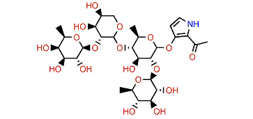 Plancipyrroside A